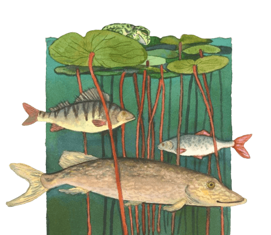 Birde Poulsen Birde Poulsen